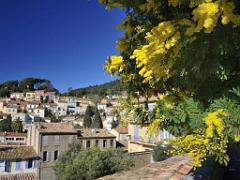 183 D23 BORMES LES MIMOSAS 1_000007